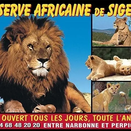 Appt T2 Avec Vue - Gruissan